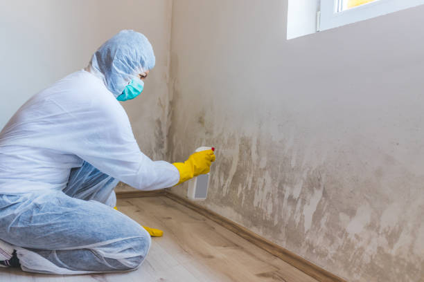 Bathroom Mold Removal assessment in Chambersburg bathroom